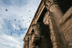 Gallery Thumbnail 2