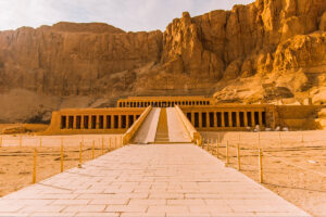 Gallery Thumbnail 6