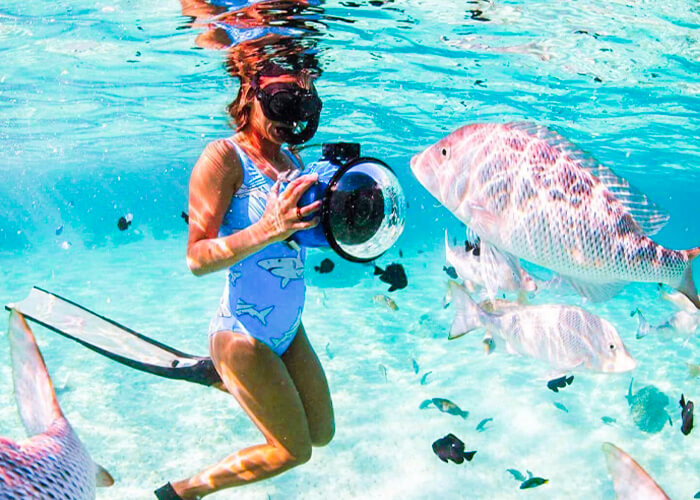 Giftun Island Snorkeling Trip