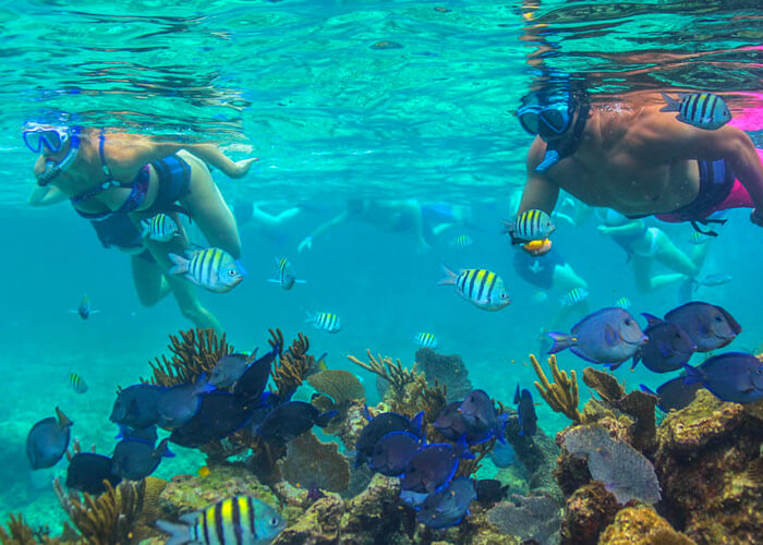 Mahmya Island Snorkeling Trip