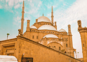 Gallery Thumbnail 1