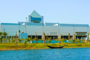 Gallery Thumbnail 8