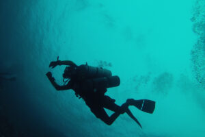 Gallery Thumbnail 11