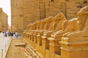Gallery Thumbnail 2