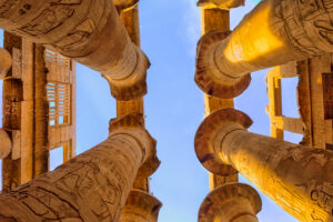 Gallery Thumbnail 5