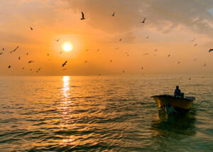 Gallery Thumbnail 4
