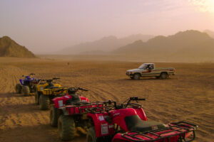 Gallery Thumbnail 6